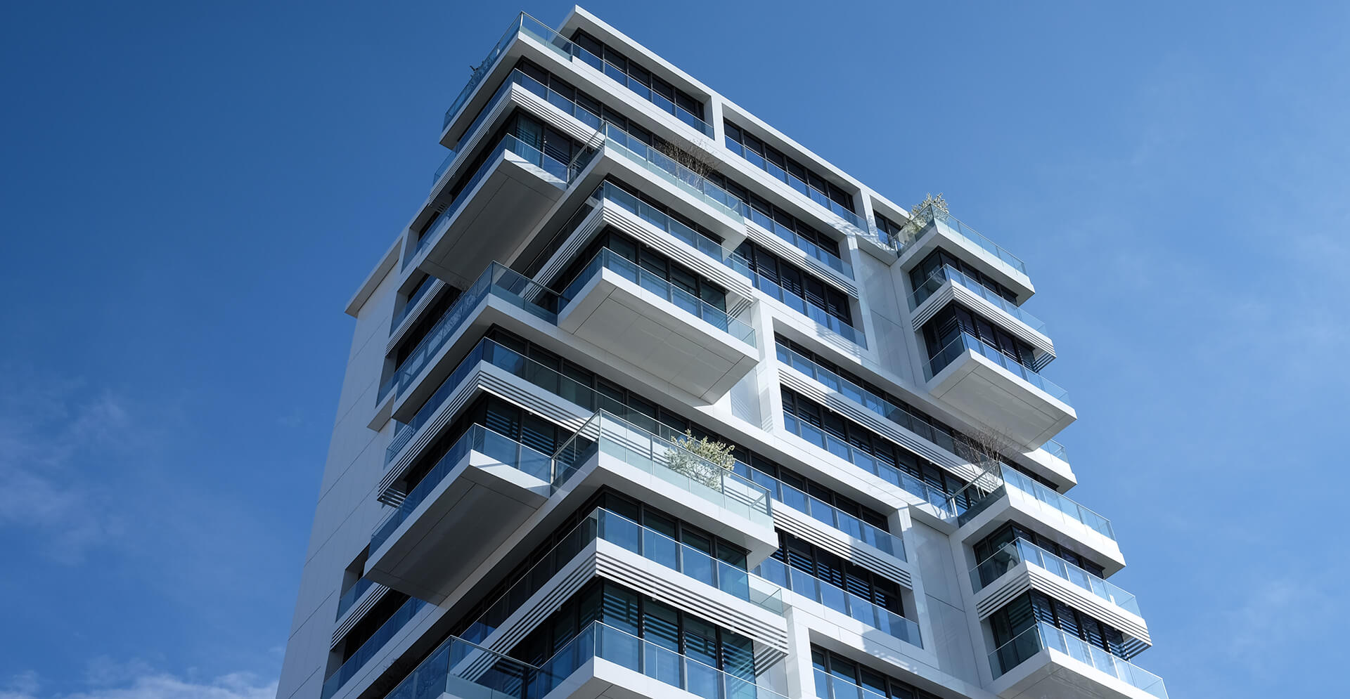 Fondo de Llamado a la Acción